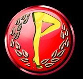 Players Showgirls - Surfers Paradise Gold Coast