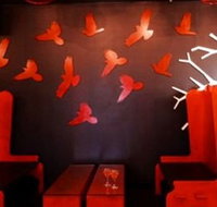 Soho Bar and Lounge - Surfers Paradise Gold Coast