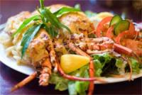 Campsie Hotel - Surfers Paradise Gold Coast 1