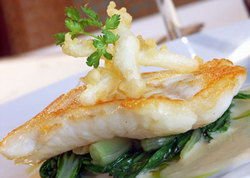 Ballina Hotel - Surfers Paradise Gold Coast 2