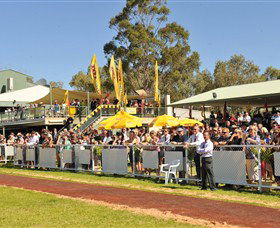 Alice Springs Turf Club - Surfers Paradise Gold Coast 5