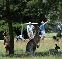Glen Innes Golf Club - Surfers Paradise Gold Coast
