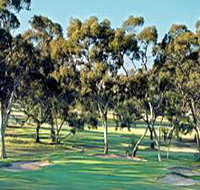 Tanunda Pines Golf Club