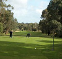 Mount Gambier Golf Club - Surfers Paradise Gold Coast