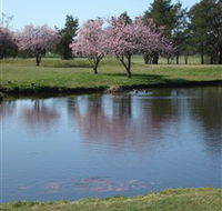 RMC Golf Club - Surfers Paradise Gold Coast