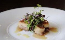 Bridgeview Hotel - Surfers Paradise Gold Coast 0