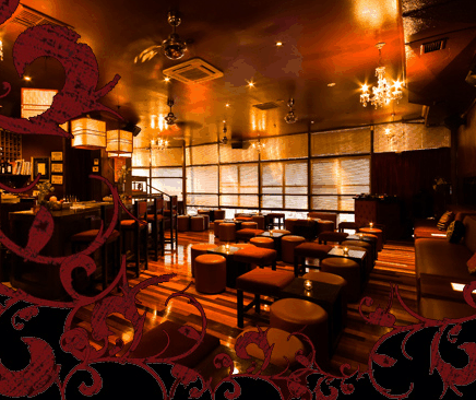 Hippo Lounge Bar - Surfers Paradise Gold Coast