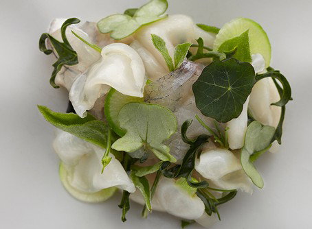 Quay - Surfers Paradise Gold Coast 1