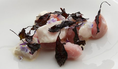 Quay - Surfers Paradise Gold Coast 3