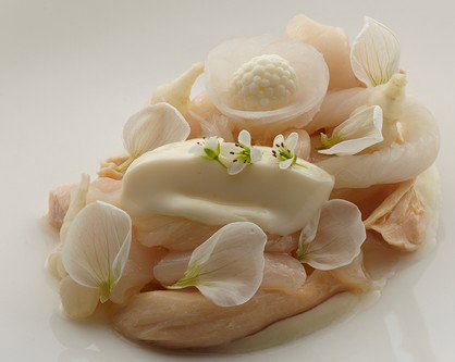 Quay - Surfers Paradise Gold Coast 4