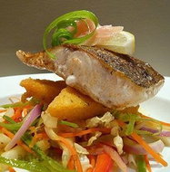 Advancetown Entertainment Venues Surfers Paradise Gold Coast Surfers Paradise Gold Coast