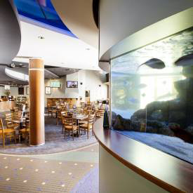 Pub Mooloolaba - Surfers Paradise Gold Coast 4