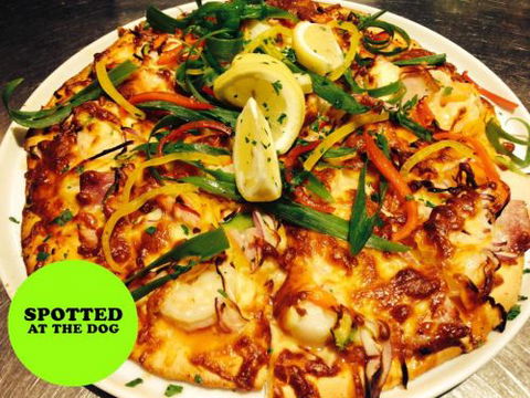 Spotted Dog Tavern - Surfers Paradise Gold Coast 4