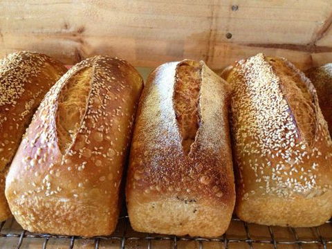 Blackbird Artisan Bakery - Surfers Paradise Gold Coast 0