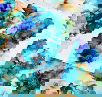 Alcohol Ink Art Class - Surfers Paradise Gold Coast