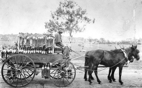 A Tale Of Two Villages - An Exhibition - Surfers Paradise Gold Coast 1