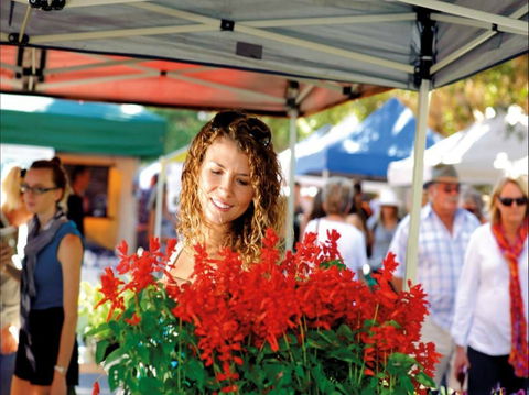 Ballina Missingham Farmers Market - Surfers Paradise Gold Coast 0