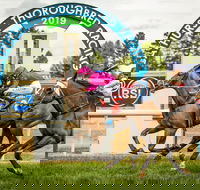 Bathurst Cup - Surfers Paradise Gold Coast