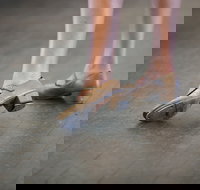 Beginner Tap - Surfers Paradise Gold Coast