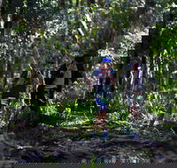 Elephant Trail Race - Surfers Paradise Gold Coast