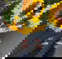 Friday Forage - Surfers Paradise Gold Coast