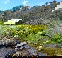 Hedonistic Hiking's Falls Creek to Hotham - Surfers Paradise Gold Coast
