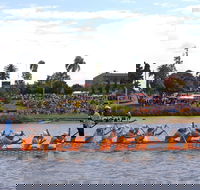 Jacaranda Dragon Boat Races - Surfers Paradise Gold Coast