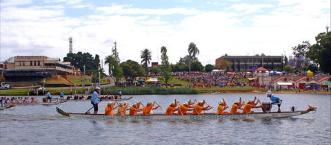 Jacaranda Dragon Boat Races - Surfers Paradise Gold Coast 0