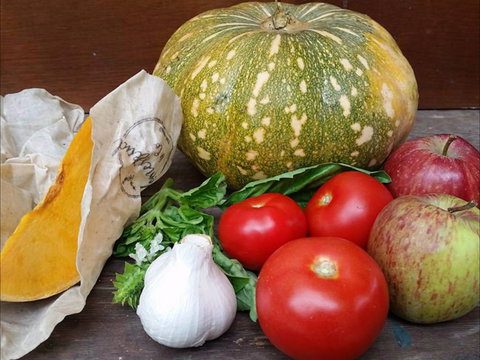 Lismore Organic Market - Surfers Paradise Gold Coast 0