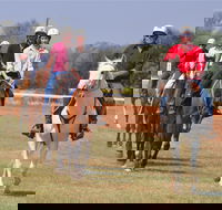Pride of the West Races 2020 - Surfers Paradise Gold Coast