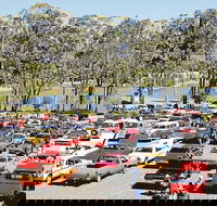 Spring Cruiz In - Surfers Paradise Gold Coast
