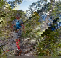 Wild Earth Coastal High 50