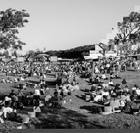 Yours and Owls Festival - Surfers Paradise Gold Coast