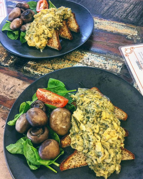 Ipswich 100 - Surfers Paradise Gold Coast 1