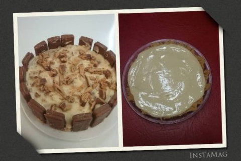 The Magnolia Tree - - Surfers Paradise Gold Coast 1