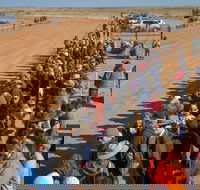 28th Marree Australasian CAMEL CUP 3 July 2021 - Surfers Paradise Gold Coast