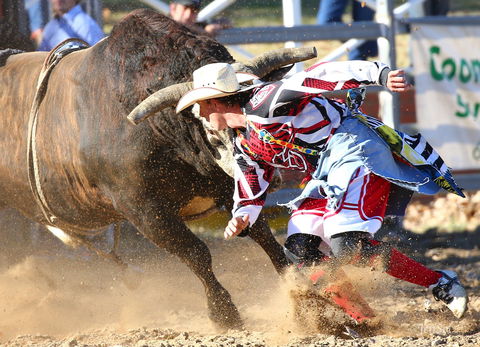 AgriWest Cooma Rodeo - Surfers Paradise Gold Coast 2
