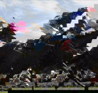 Batemans Bay Cup - Surfers Paradise Gold Coast