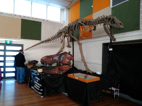 Carlingford Gem And Mineral Expo - Surfers Paradise Gold Coast 1