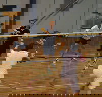 Charlton Badminton Club Ladies Tournament - Surfers Paradise Gold Coast