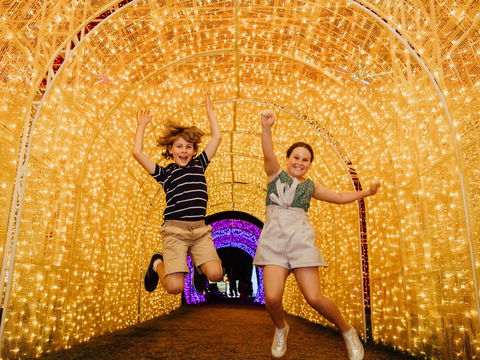 Christmas Lights Spectacular New Year's Eve At Hunter Valley Gardens - Surfers Paradise Gold Coast 0