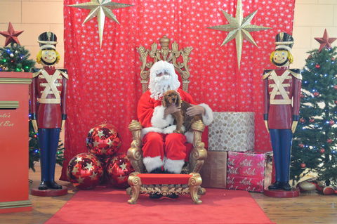 Community Christmas Party And Carols By Candlelight - Surfers Paradise Gold Coast 2