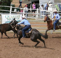 Dalgety Team Penning