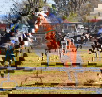 Glen Innes Pastoral and Agricultural Show - Surfers Paradise Gold Coast