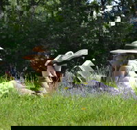 High Country Writers Festival - Surfers Paradise Gold Coast