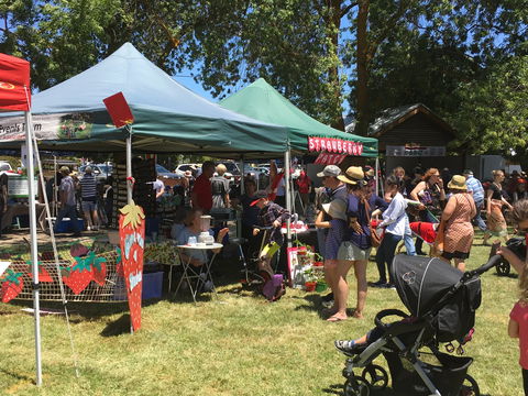 Macclesfield Strawberry Fete - Surfers Paradise Gold Coast 1