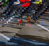 Moruya Town to Surf Fun Run - Surfers Paradise Gold Coast