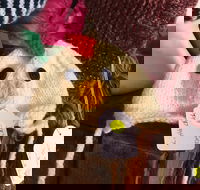 Murrindindi Beanie  Fibre Festival Online - Surfers Paradise Gold Coast
