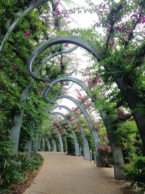 Photography Class / Tour Of Brisbane - Surfers Paradise Gold Coast 0