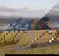 Sculpture Bermagui - Surfers Paradise Gold Coast